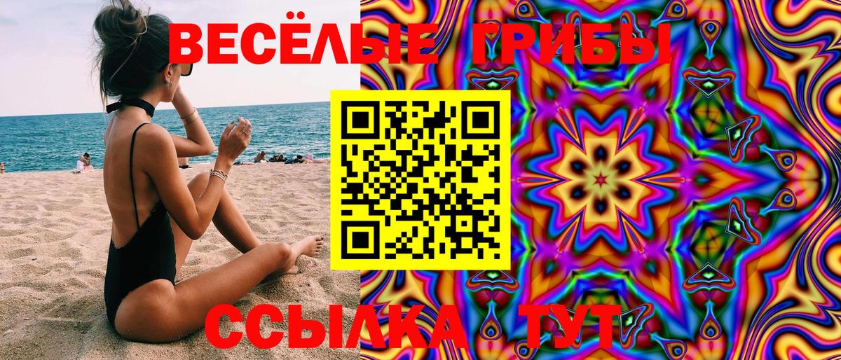 купить наркоту  Псилоцибиновые грибы Cubensis  Псилоцибиновые грибы MAGIC MUSHROOMS  Вход с VPN  Шатура 